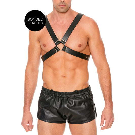 leather-harness-with-large-buckle-one-size