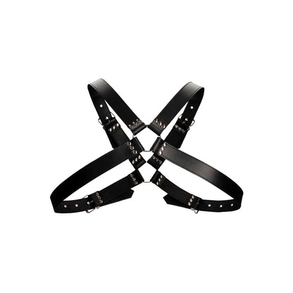 leather-harness-with-large-buckle-one-size